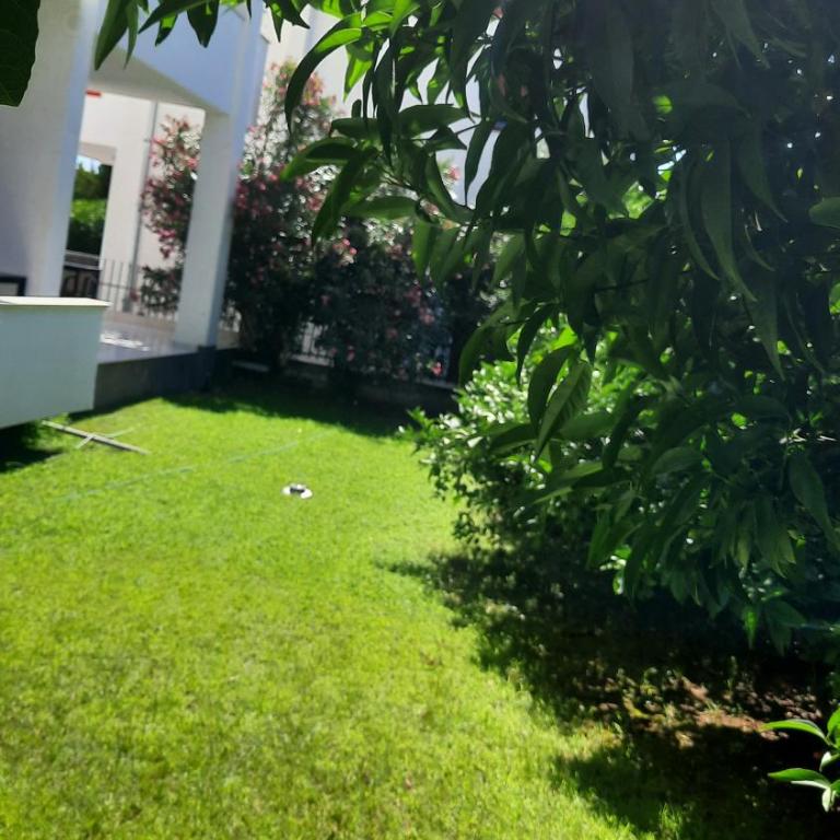Apartmani Vila Milaris - Apartman sa 1 Spavaćom Sobom - 15