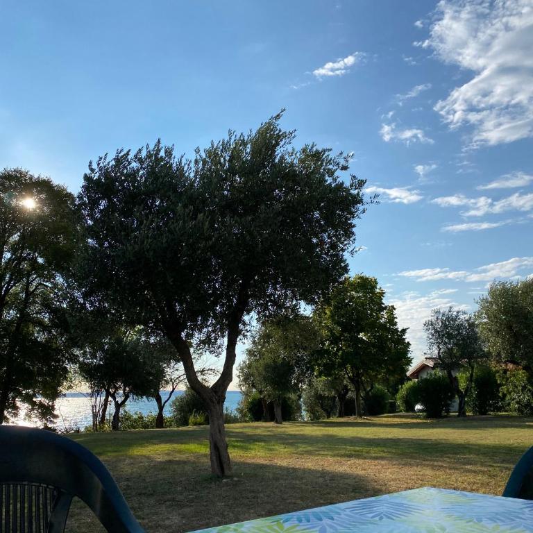 Campeggio Villaggio San Giorgio Vacanze - Appartamento con 1 Camera da Letto - 5