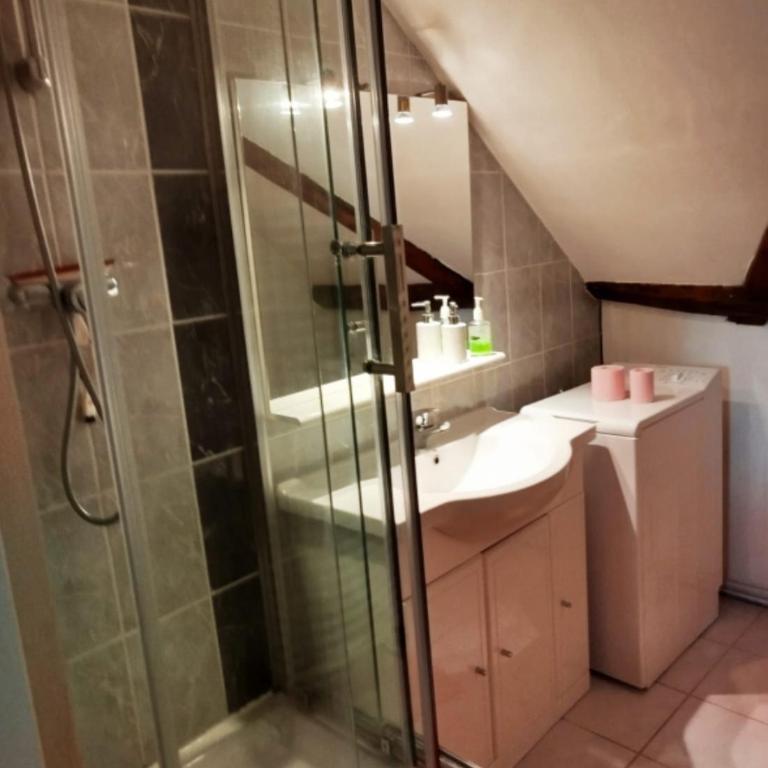 Au Chasseur - Apartment mit 1 Schlafzimmer - 1