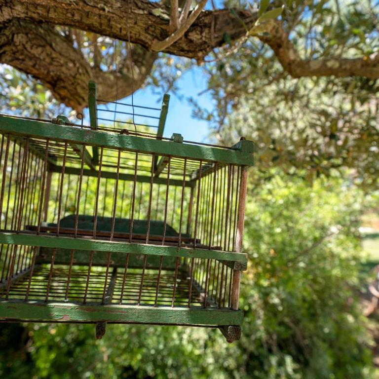 Villa Eva, villa privata con piscina a sfioro - Villa - 38