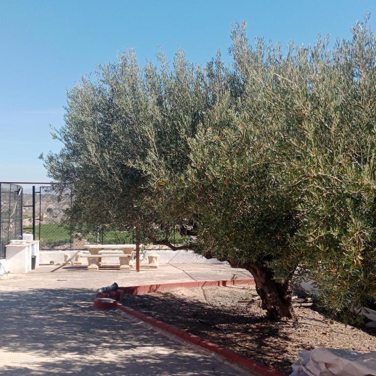 Casa Las Moscas - Three-Bedroom House - 11
