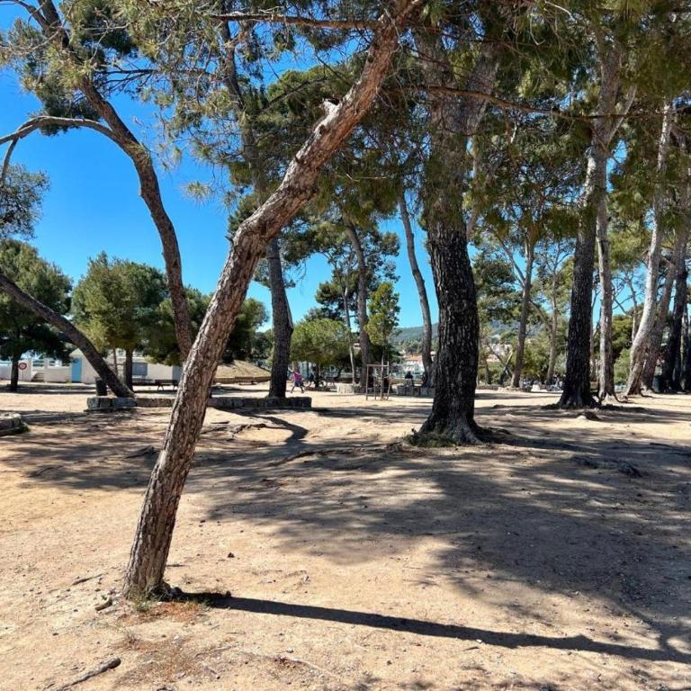 Villa Serrane - Appartement avec accès piscine - Appartement - 45