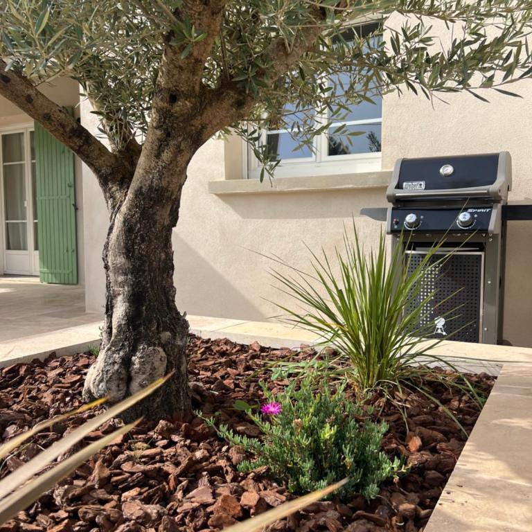 Oustau di Gaffo - Villa 3 Chambres - 2