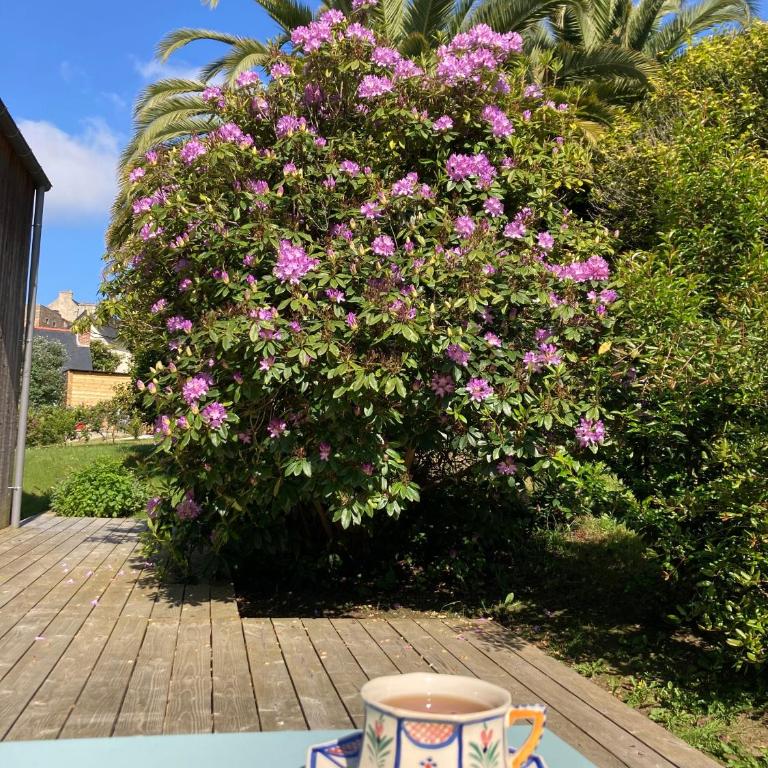 Villa en bois Perros-Guirec - GWEZ-ROZ - Villa - 26