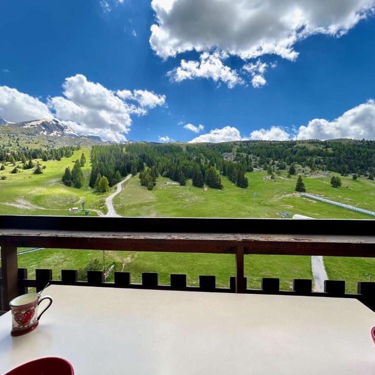 Appartement pour 8 pers. à 50m des pistes avec Wifi et Parking - Appartement 1 Chambre - 21