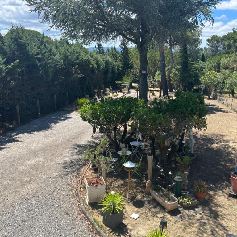 Appart-one terrasse jacuzzi parking - Apartment mit 1 Schlafzimmer - 16