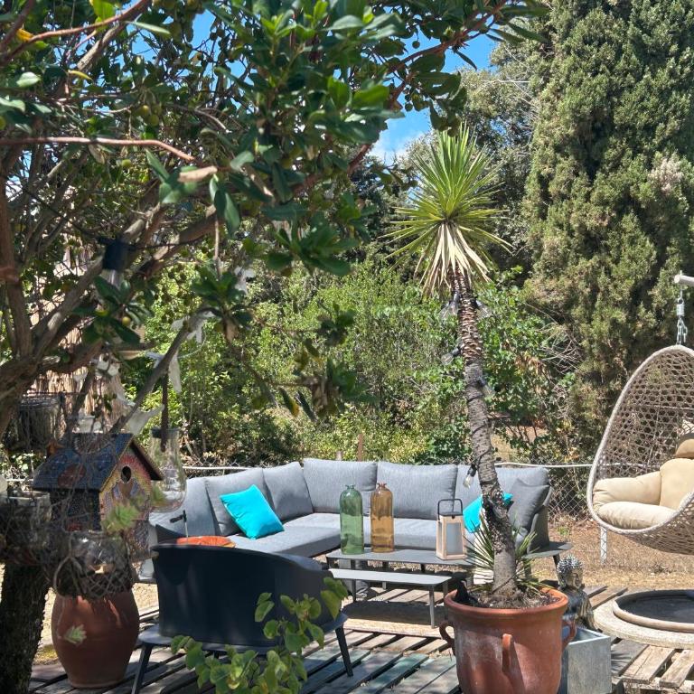 Appart-one terrasse jacuzzi parking - Apartment mit 1 Schlafzimmer - 9