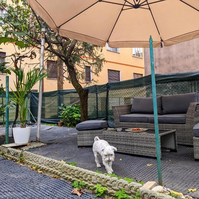 Casa singola con spazio auto e giardino - Appartamento con 1 Camera da Letto - 15