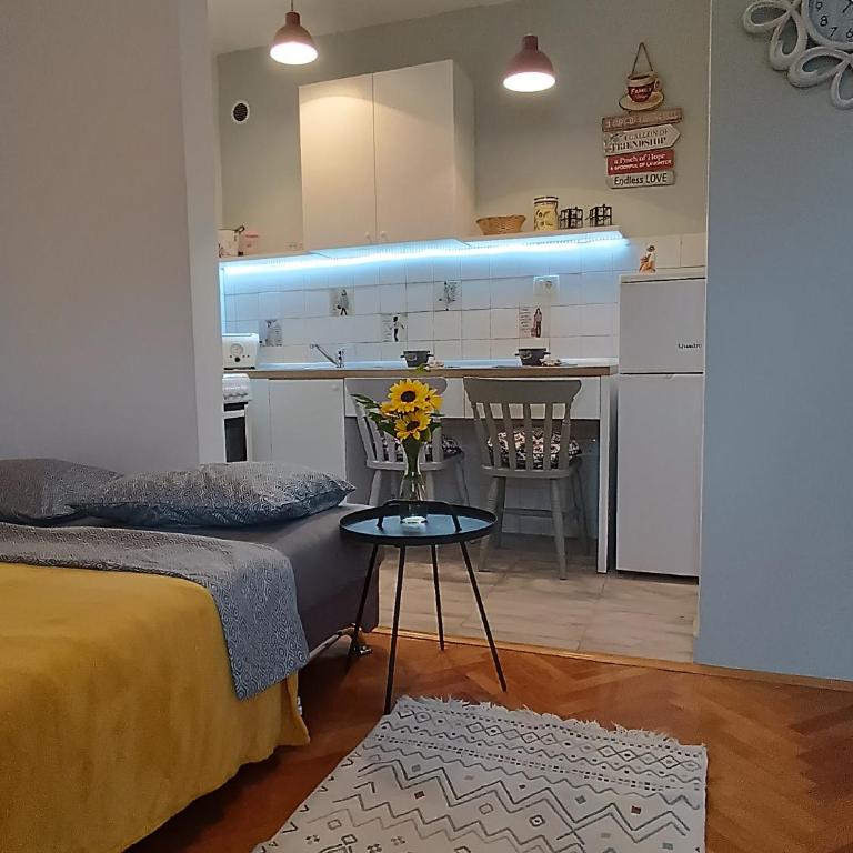 Apartman Casper - One-Bedroom Apartment with Balcony - 10