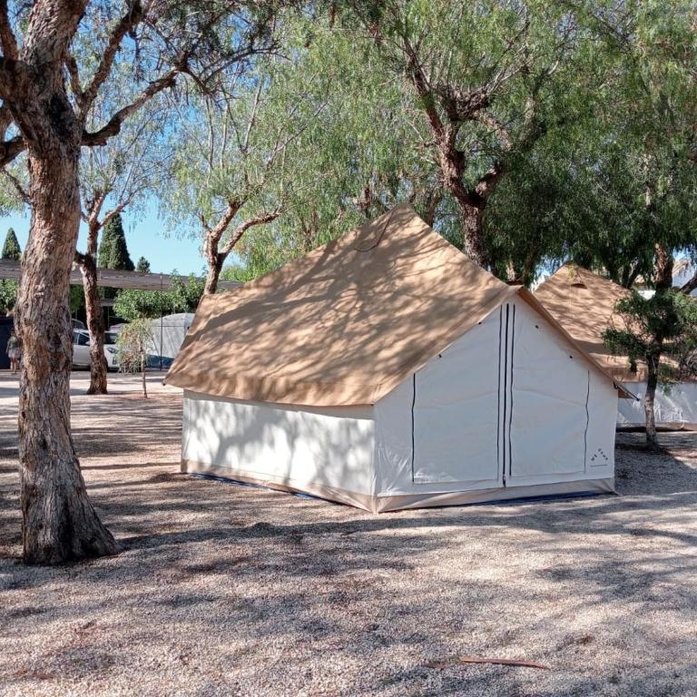 wecamp Jávea - Tent - 3