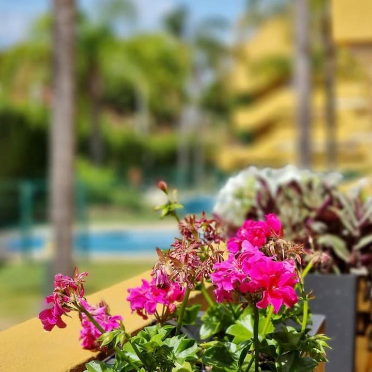 Beachside Home Escape - Apartamento de 2 dormitorios con terraza - 34