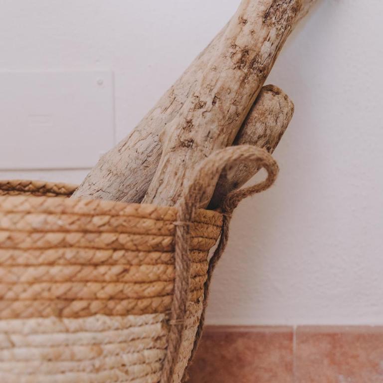 Cactus Comfort Apartment - Appartamento con 1 Camera da Letto - 6