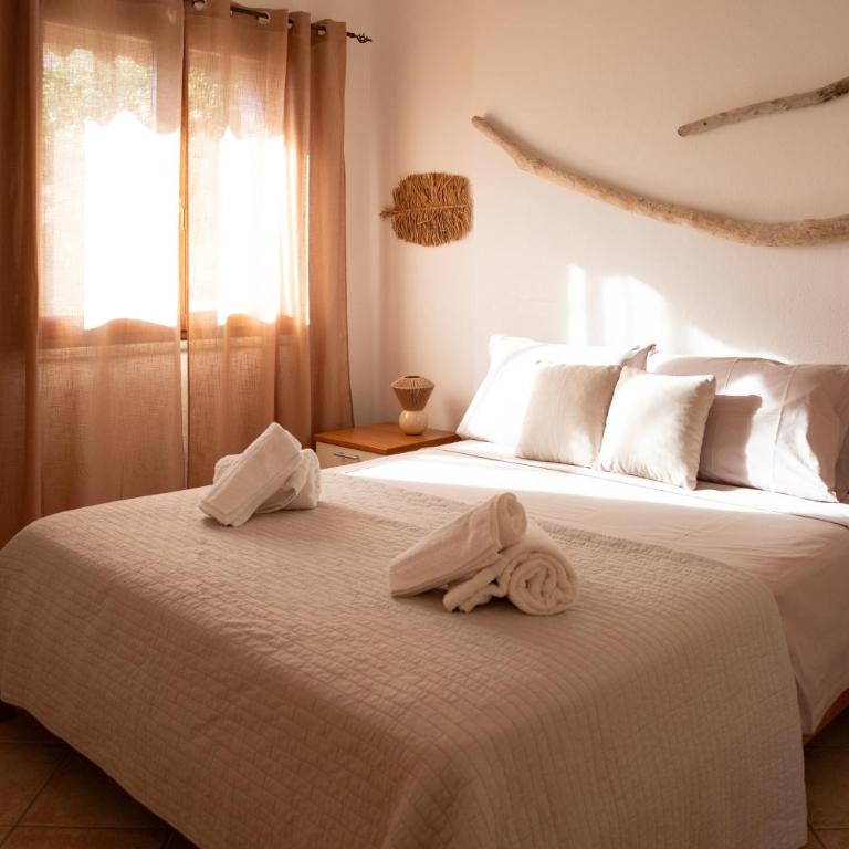 Cactus Comfort Apartment - Appartamento con 1 Camera da Letto - 8