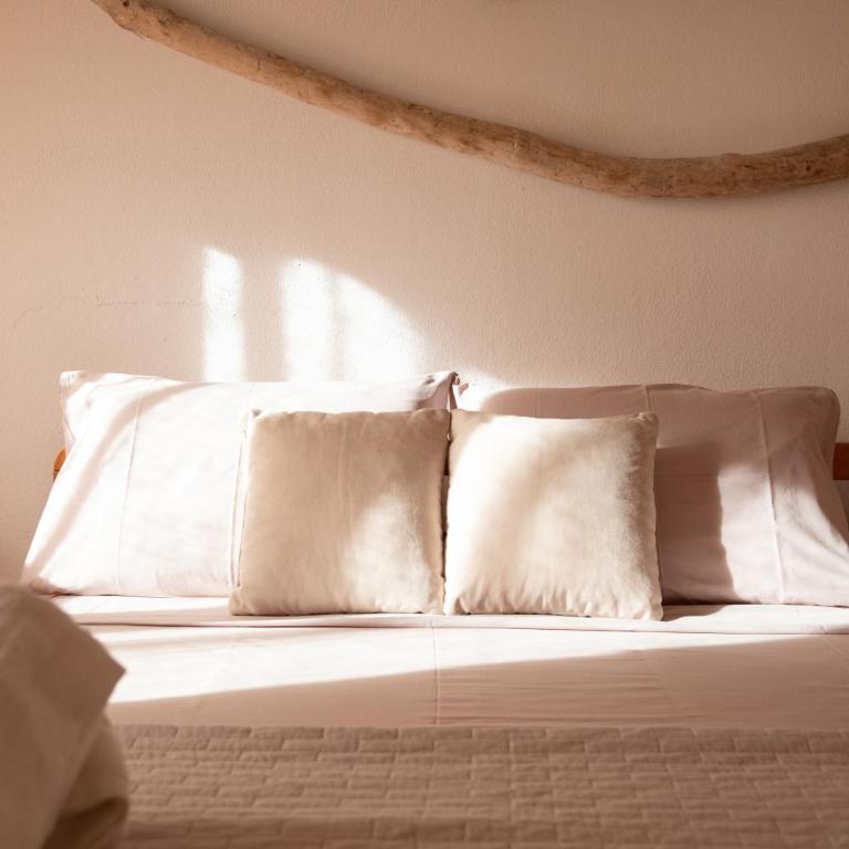 Cactus Comfort Apartment - Appartamento con 1 Camera da Letto - 20