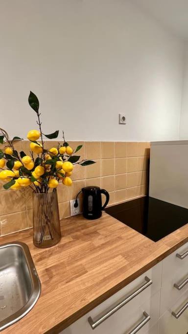 Art Apartment near Tashmajdan - Apartman sa 1 Spavaćom Sobom - 15