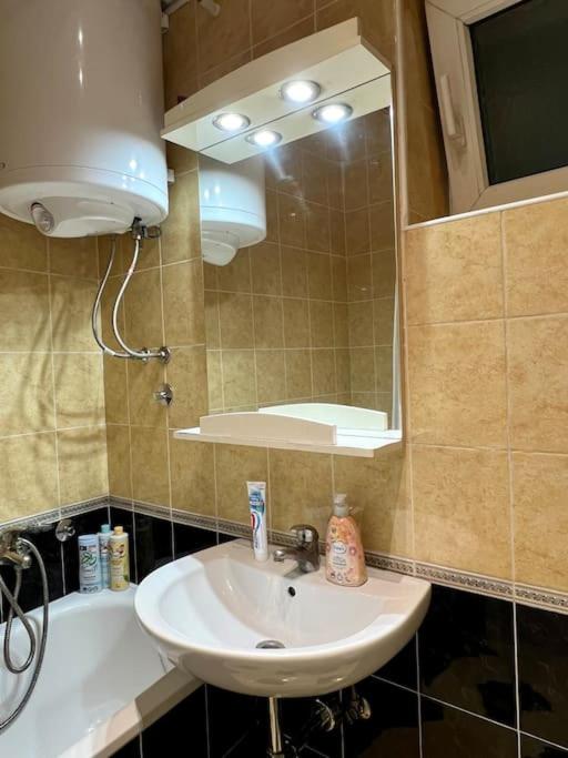 Art Apartment near Tashmajdan - Apartman sa 1 Spavaćom Sobom - 17