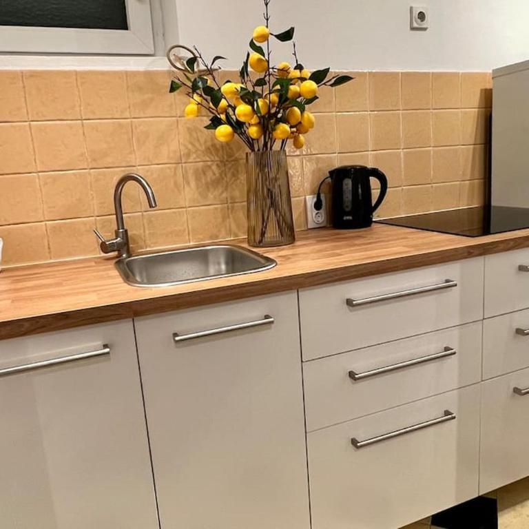 Art Apartment near Tashmajdan - Apartman sa 1 Spavaćom Sobom - 24