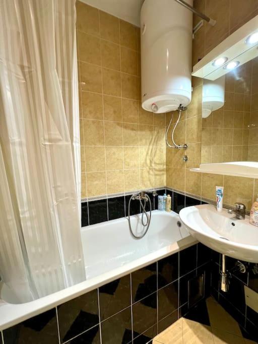 Art Apartment near Tashmajdan - Apartman sa 1 Spavaćom Sobom - 26