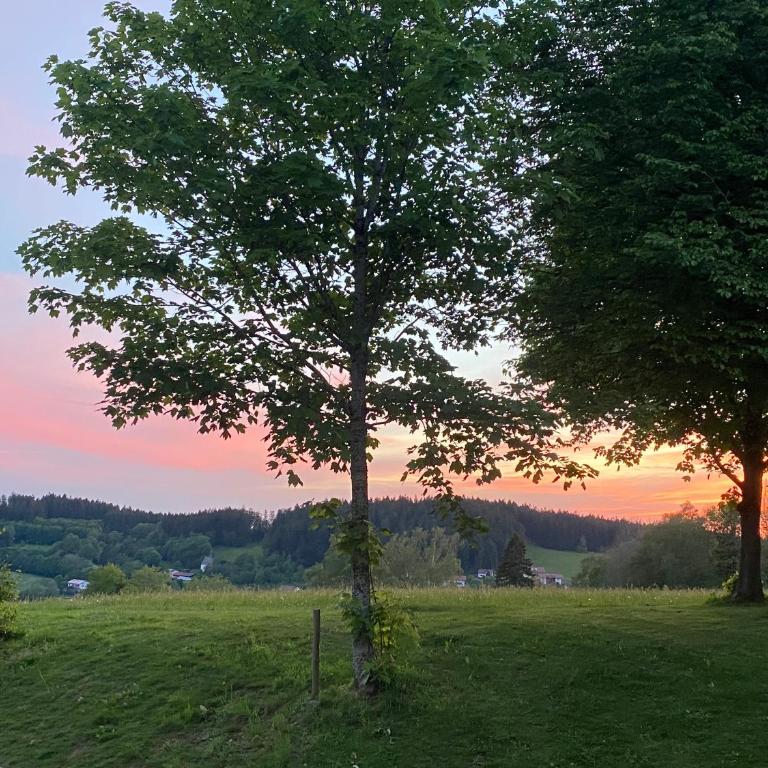 Ferienwohnung Schönblick inklusive Hallenbad, Sauna, Außenpool & Fitnessstudio, familienfreundlich ausgestattet, großes 2-Zimmer-Apartment - Apartment mit 2 Schlafzimmern - 14