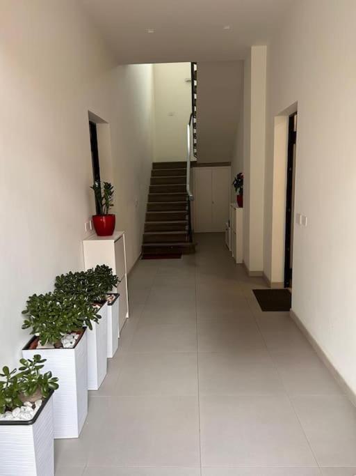 Appartamento firenze - Appartamento con 1 Camera da Letto - 12