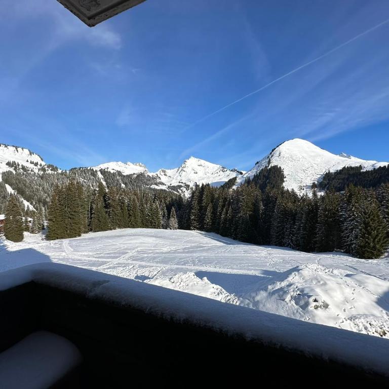 Studio au cœur du Praz-de-Lys - Les Pralyssimes - Appartement avec Vue sur la Montagne - 16