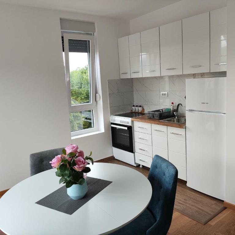 Apartman Popovic - Apartman sa 2 Spavaće Sobe - 8