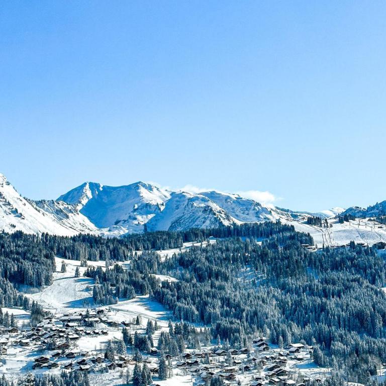 Grand appartement 8 personnes, animaux admis, parking, proche des pistes - FR-1-671-108 - Appartamento - 15