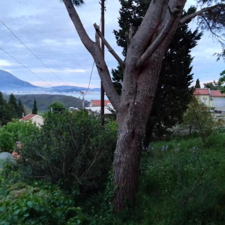 house by the sea - Kuća sa 3 Spavaće Sobe - 8