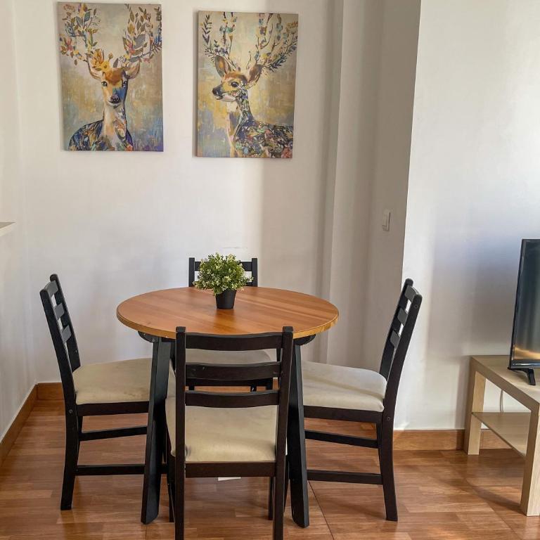 Malaga's Garden - One-Bedroom Apartment - 2