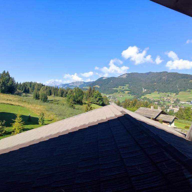 Localady - Appartement sur les pistes de Megève - Appartement 1 Chambre - 5