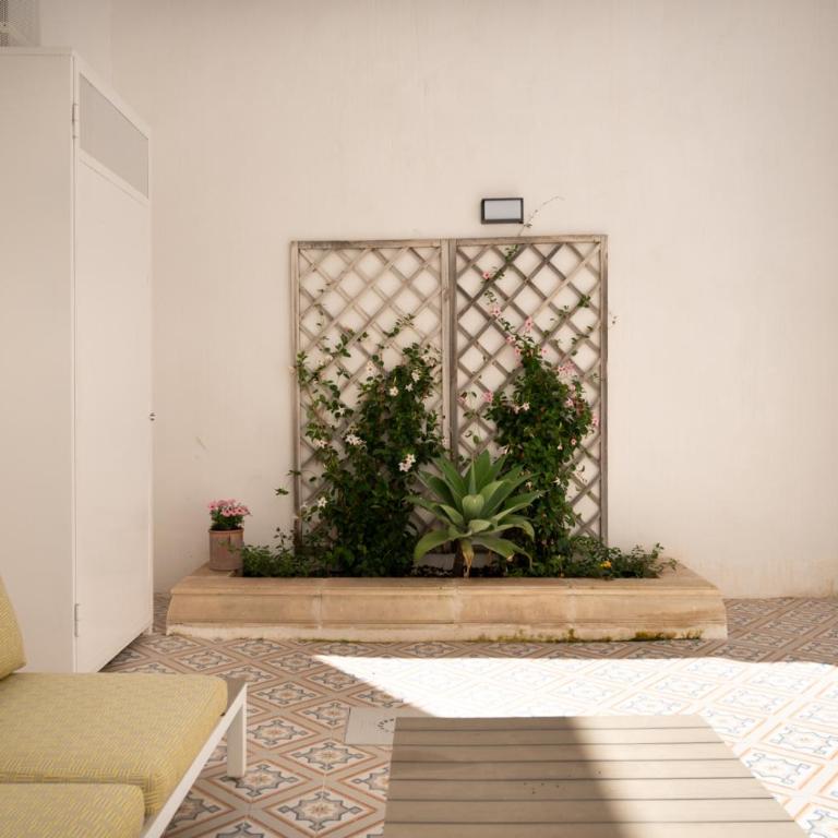 Chicca's Rooms - Appartamento Deluxe con 1 Camera da Letto e Vista Giardino - 8