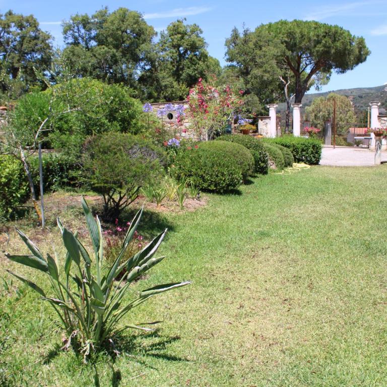 C'era una volta Frantoio - Casa con 1 Camera da Letto - 27