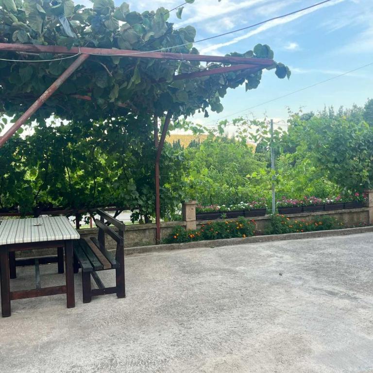 Apartmani Joca - Apartman - 2