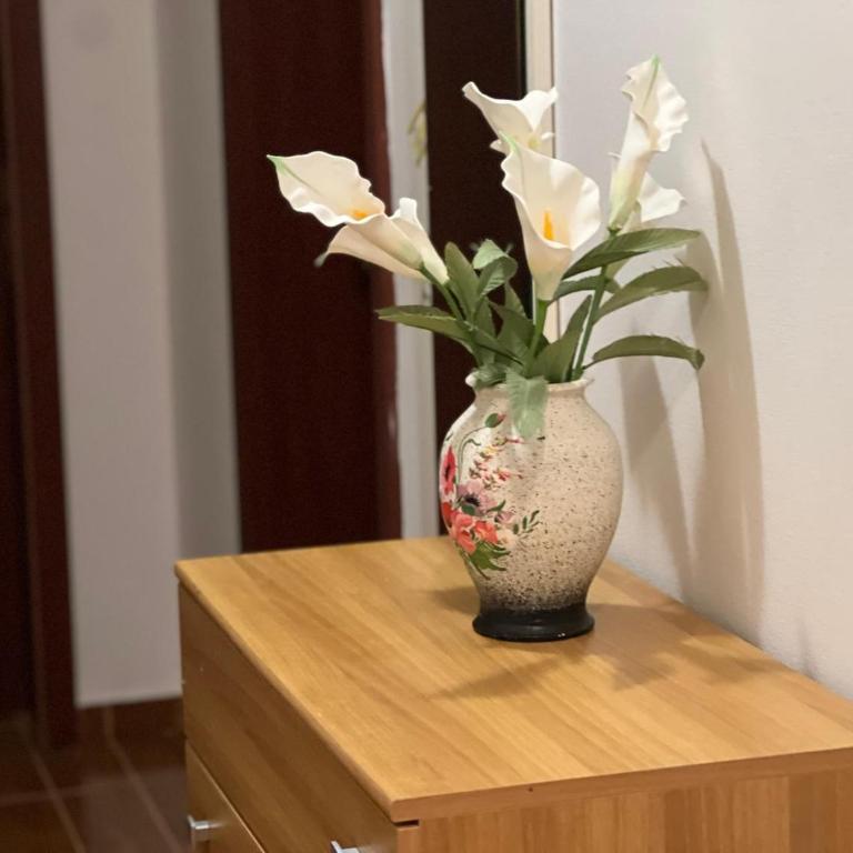 Villa Pelinku - Apartman sa 1 Spavaćom Sobom - 21