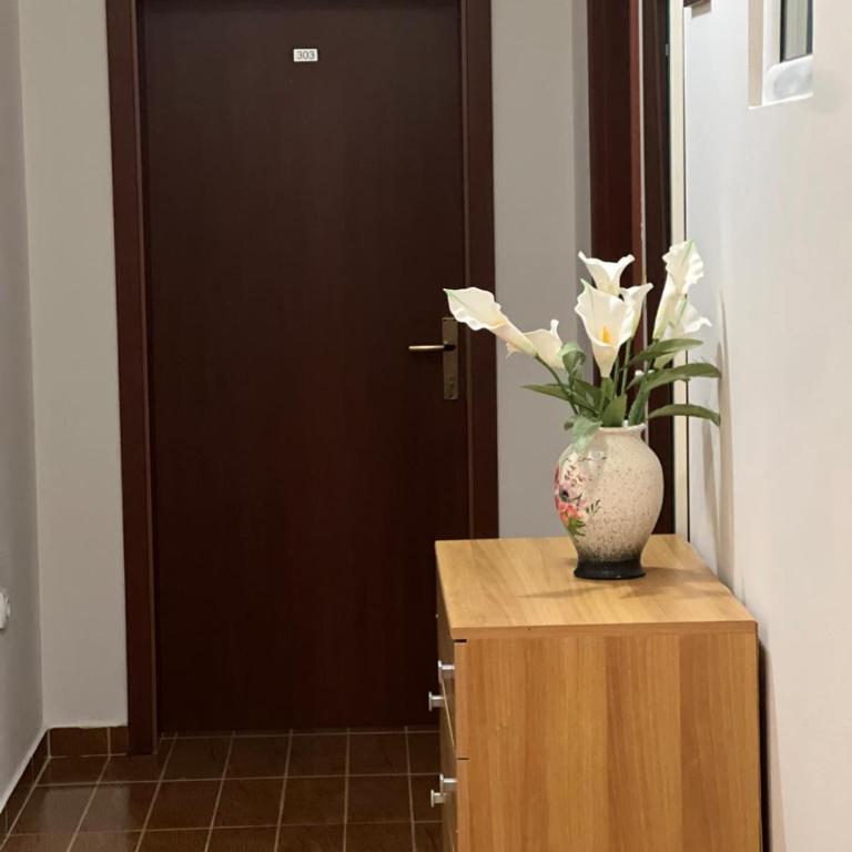 Villa Pelinku - Apartman sa 1 Spavaćom Sobom - 22