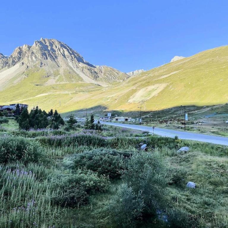 Résidence Le Cafetan - CHARMANT APPARTEMENT AU COEUR DES CHARTREUX MAE-5752 - Appartement - 14