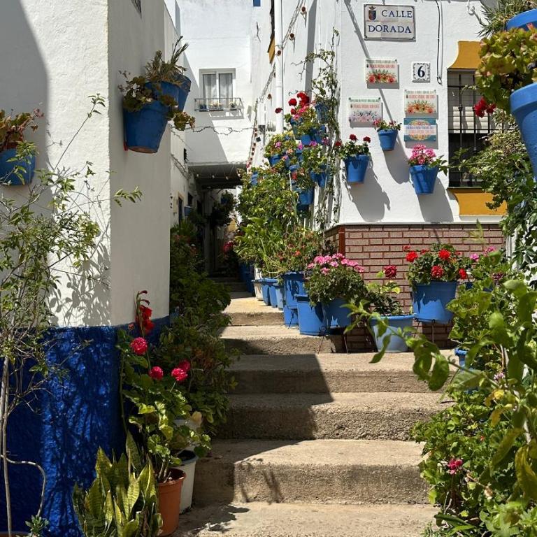 Apartamento Susurros del Mar - Apartamento de 1 dormitorio - 13