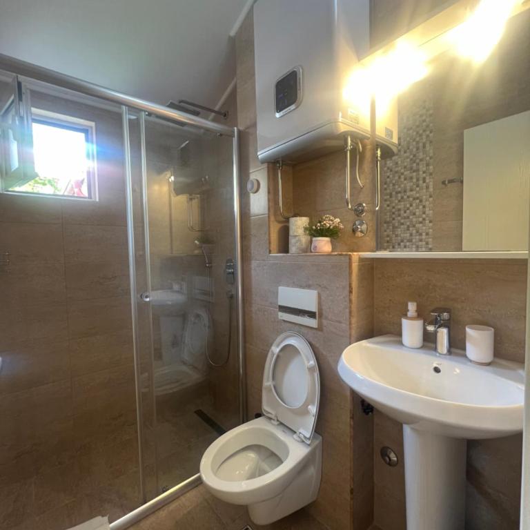 Apartmani Raskovic - Studio sa Balkonom - 5