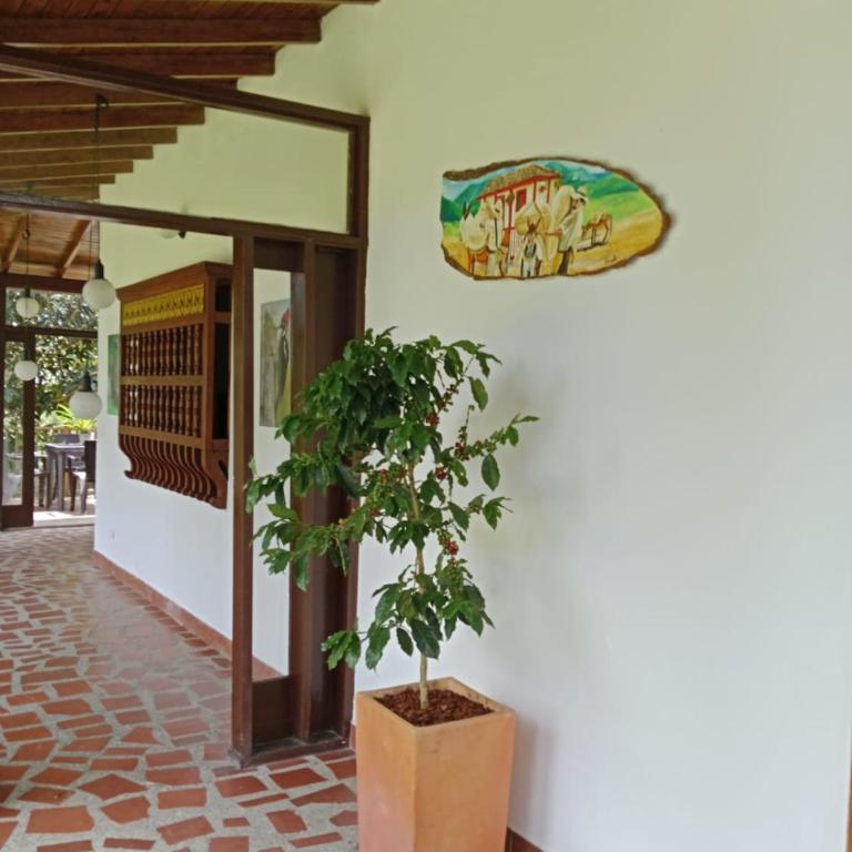 Hermosa Villa La Laja Rionegro - Villa - 11