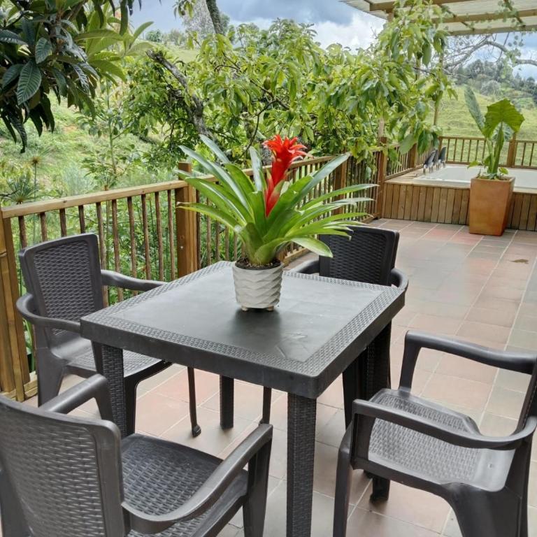 Hermosa Villa La Laja Rionegro - Villa - 26