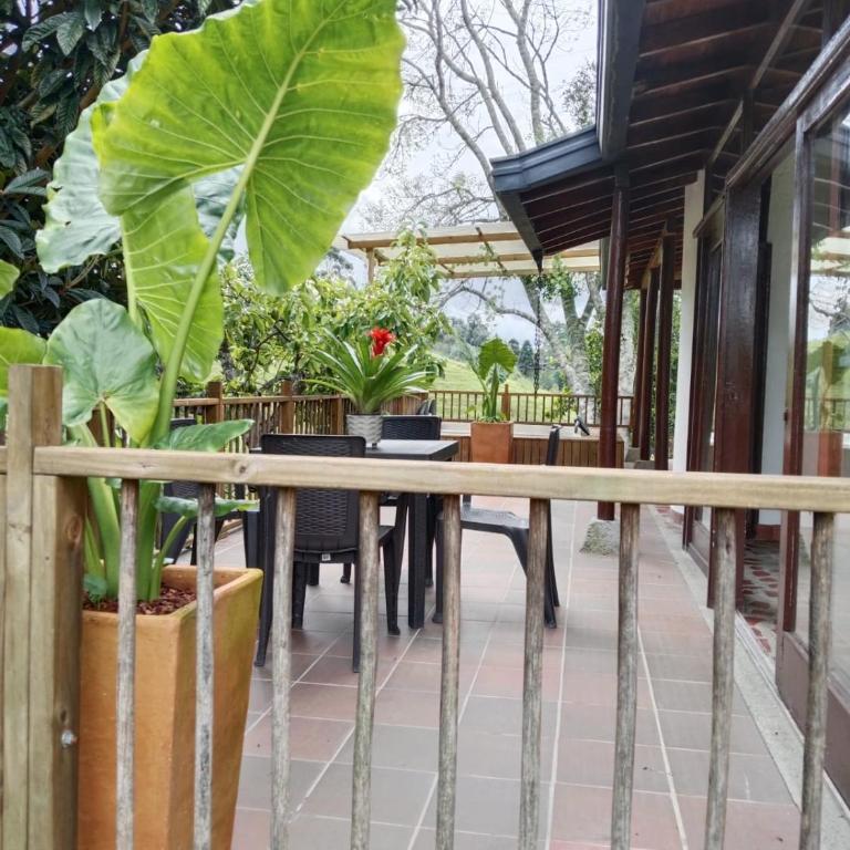 Hermosa Villa La Laja Rionegro - Villa - 51