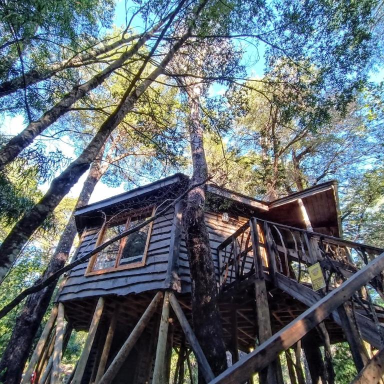 Cabañita del Árbol Cóndor - Chalet de 1 dormitorio - 1