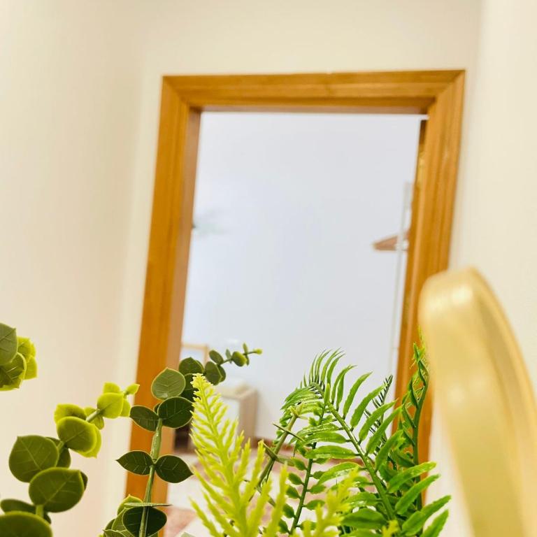 Entre Pinos - Apartamento de 2 dormitorios - 15
