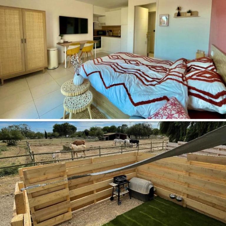 Studio à l'Ecurie - Appartamento con 1 Camera da Letto - 1