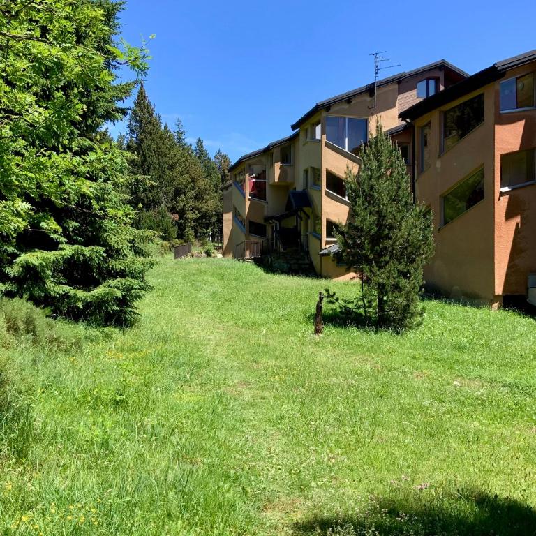 Studio cabine chaleureux à Pyrénées 2000 - WiFi et parking privé - Studio avec Terrasse - 17