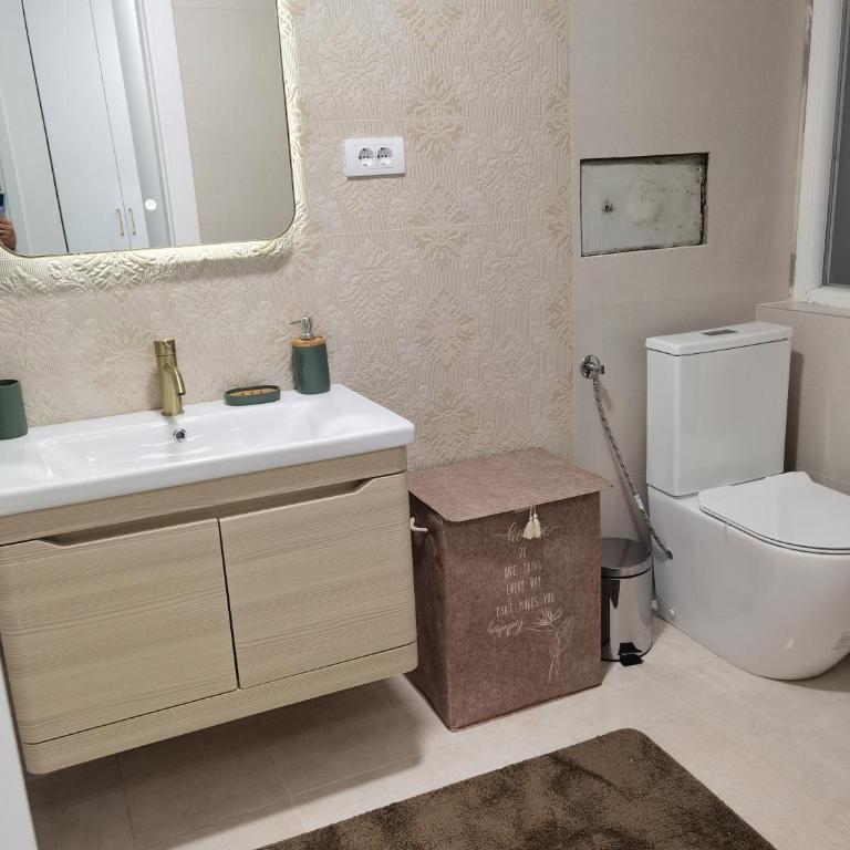 Venima City Center Apartment - Apartman sa 2 Spavaće Sobe - 44