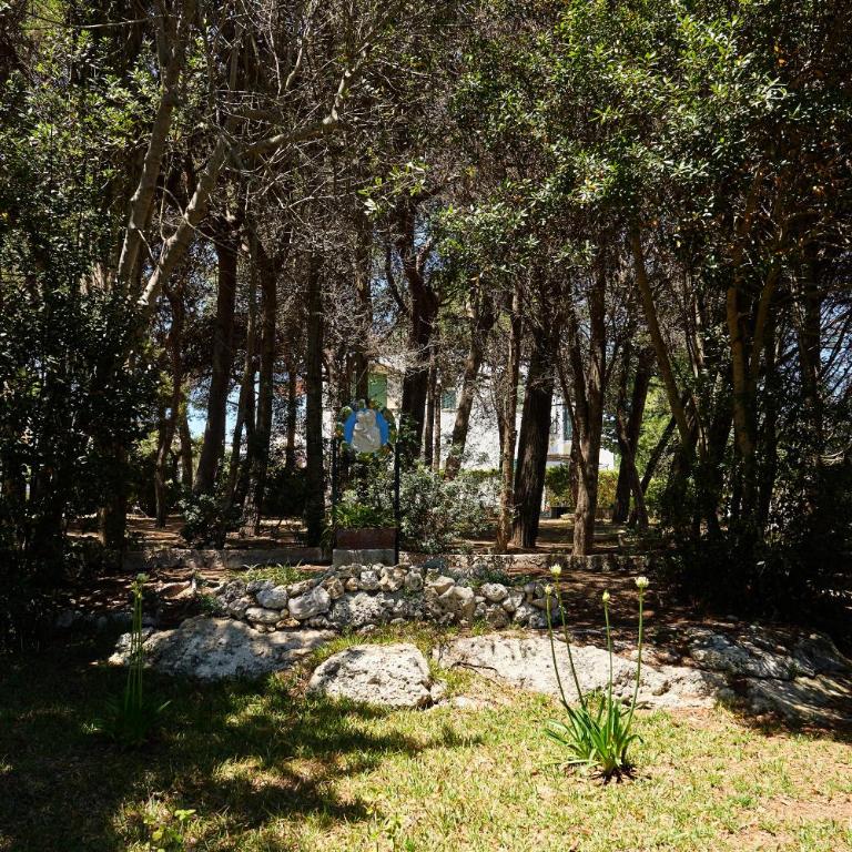 Tenuta Belvedere - Appartement Supérieur 2 Chambres - 20