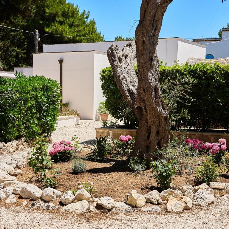 Tenuta Belvedere - Appartement Supérieur 2 Chambres - 21