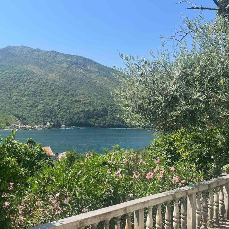 Apartman Irena - Apartment with Sea View - 1