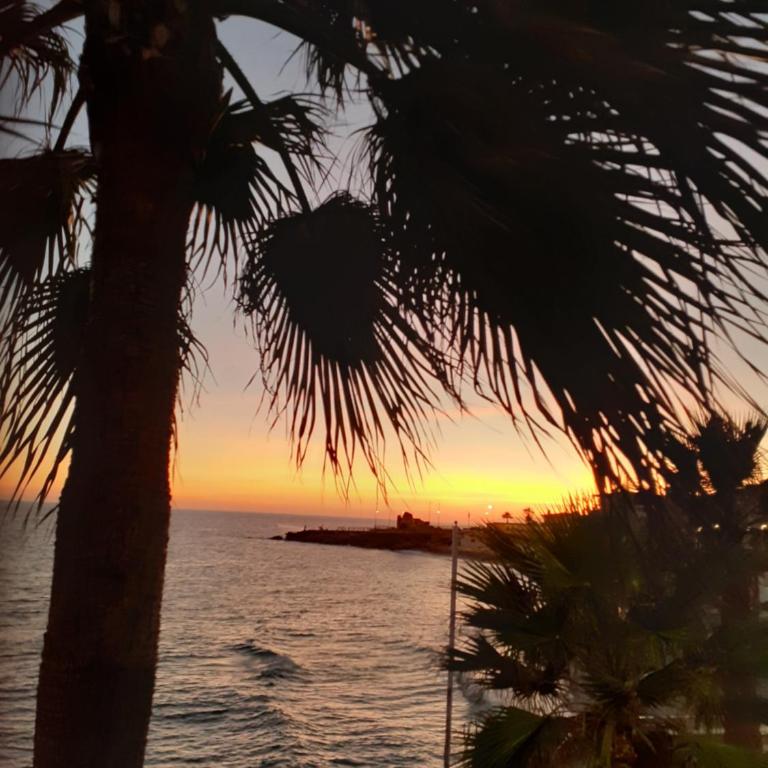 Apartamento Casa Sabrina Nerja - Apartamento de 1 dormitorio con balcón y vistas al mar - 17